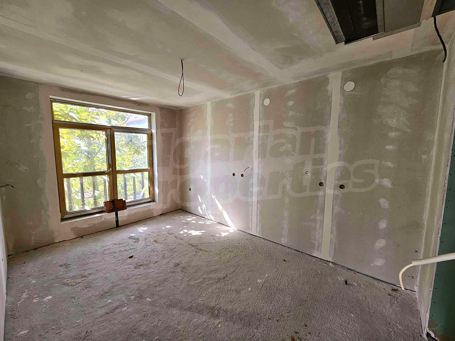 Gallery Picture 38