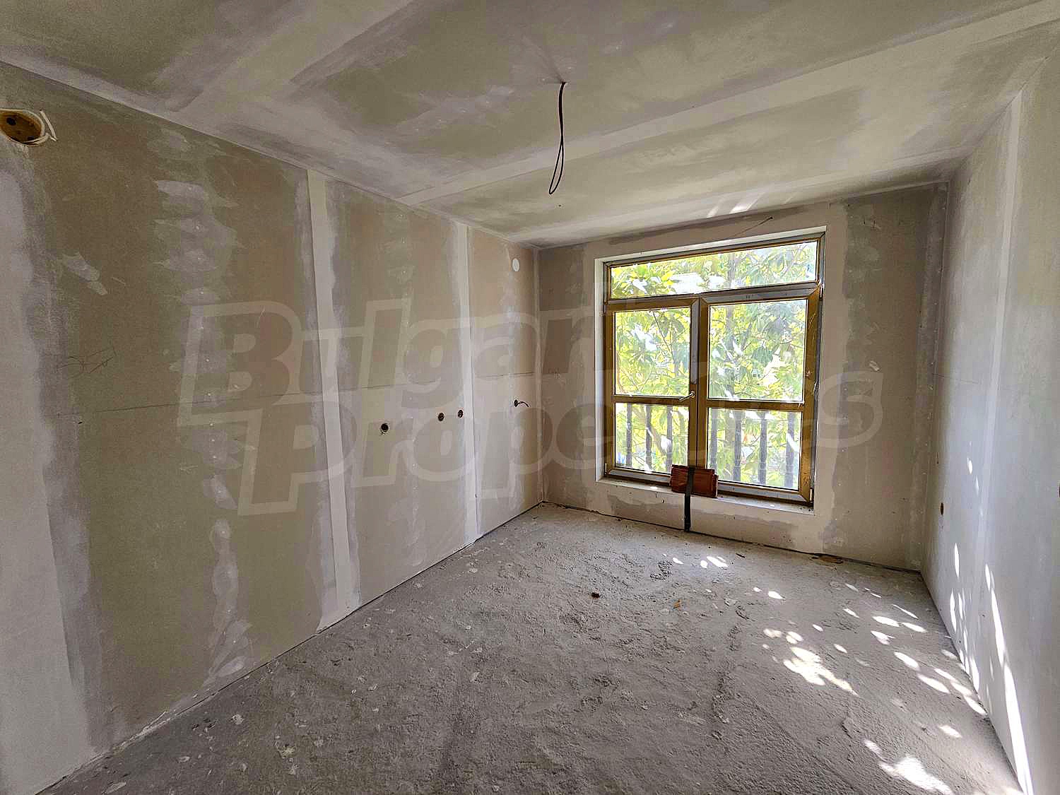 Gallery Picture 39