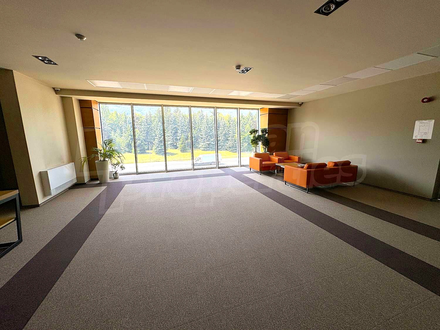 Gallery Picture 34