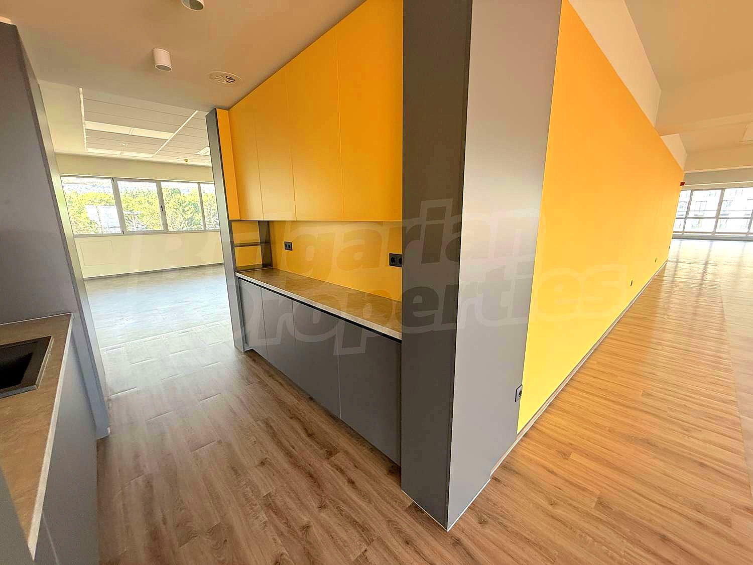 Gallery Picture 16