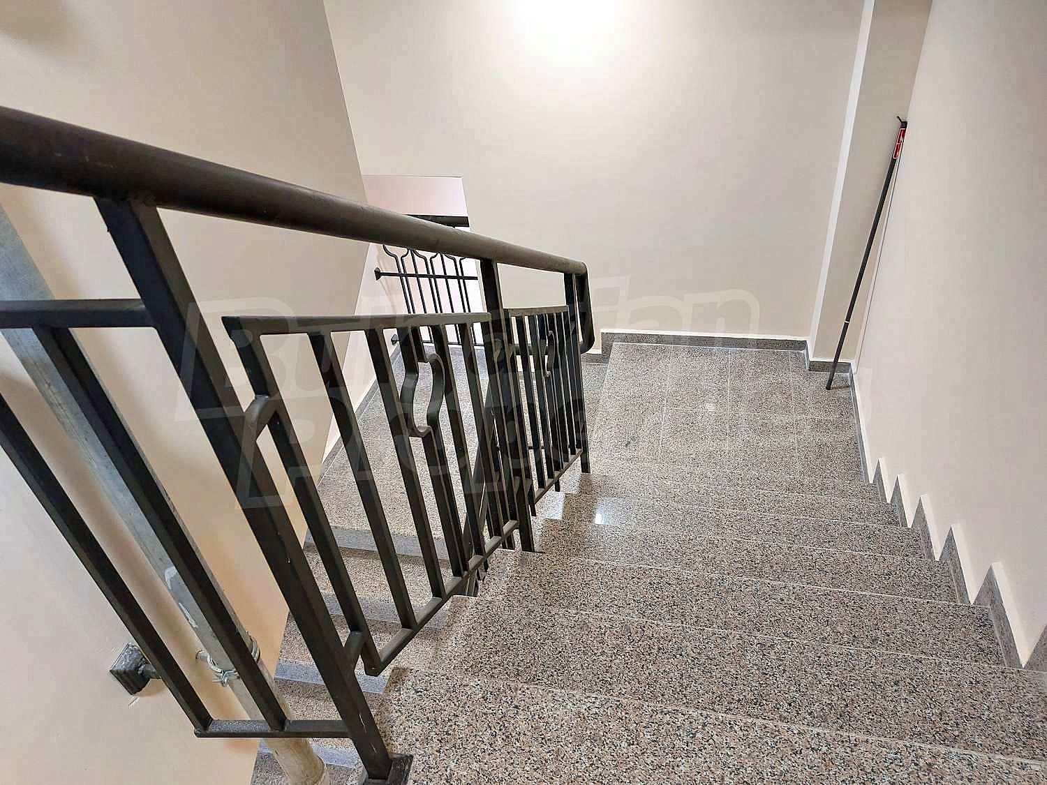 Gallery Picture 19
