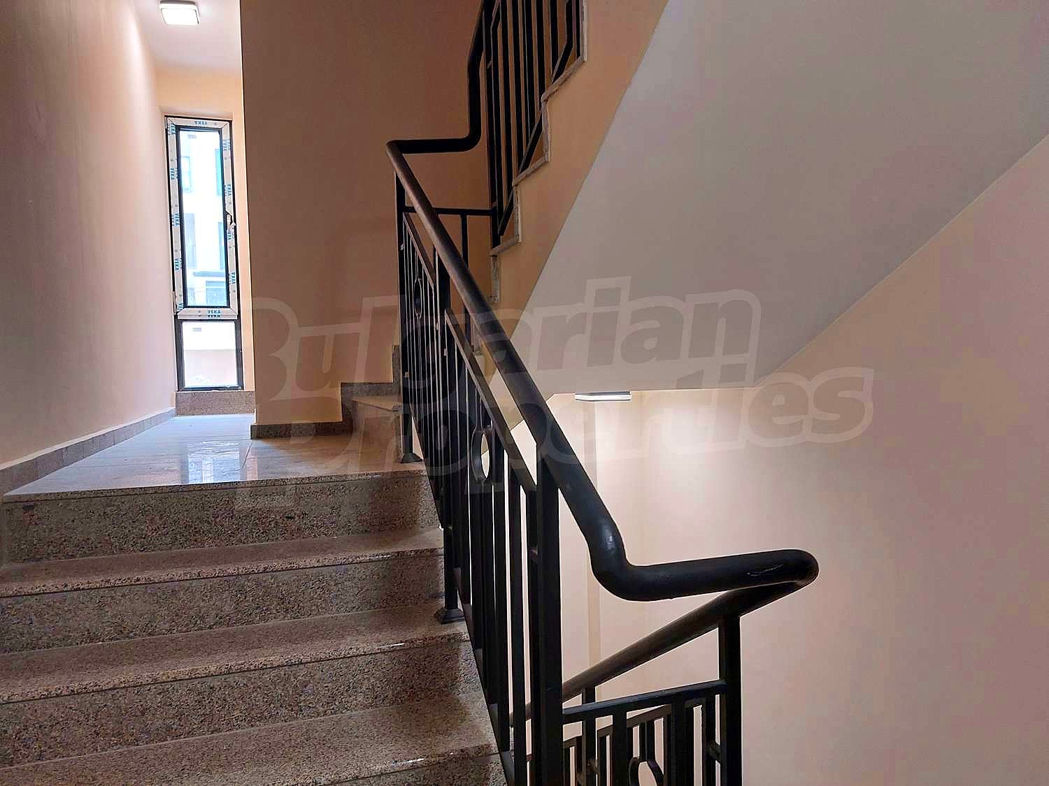 Gallery Picture 25