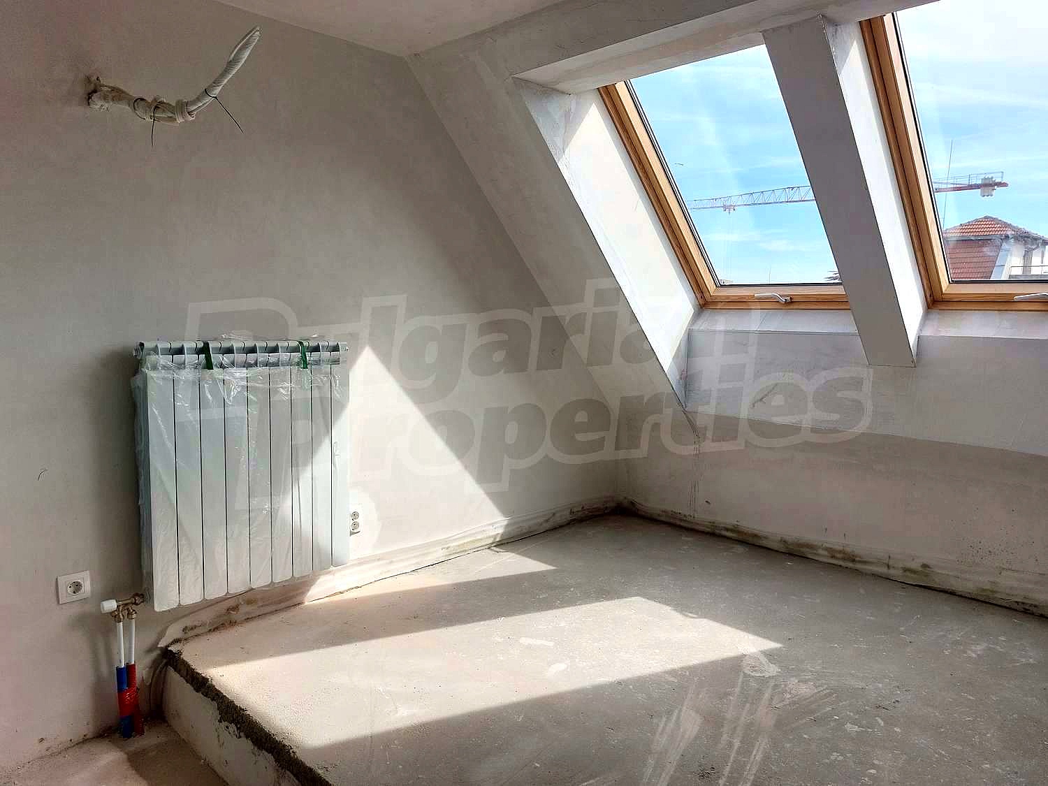Gallery Picture 34