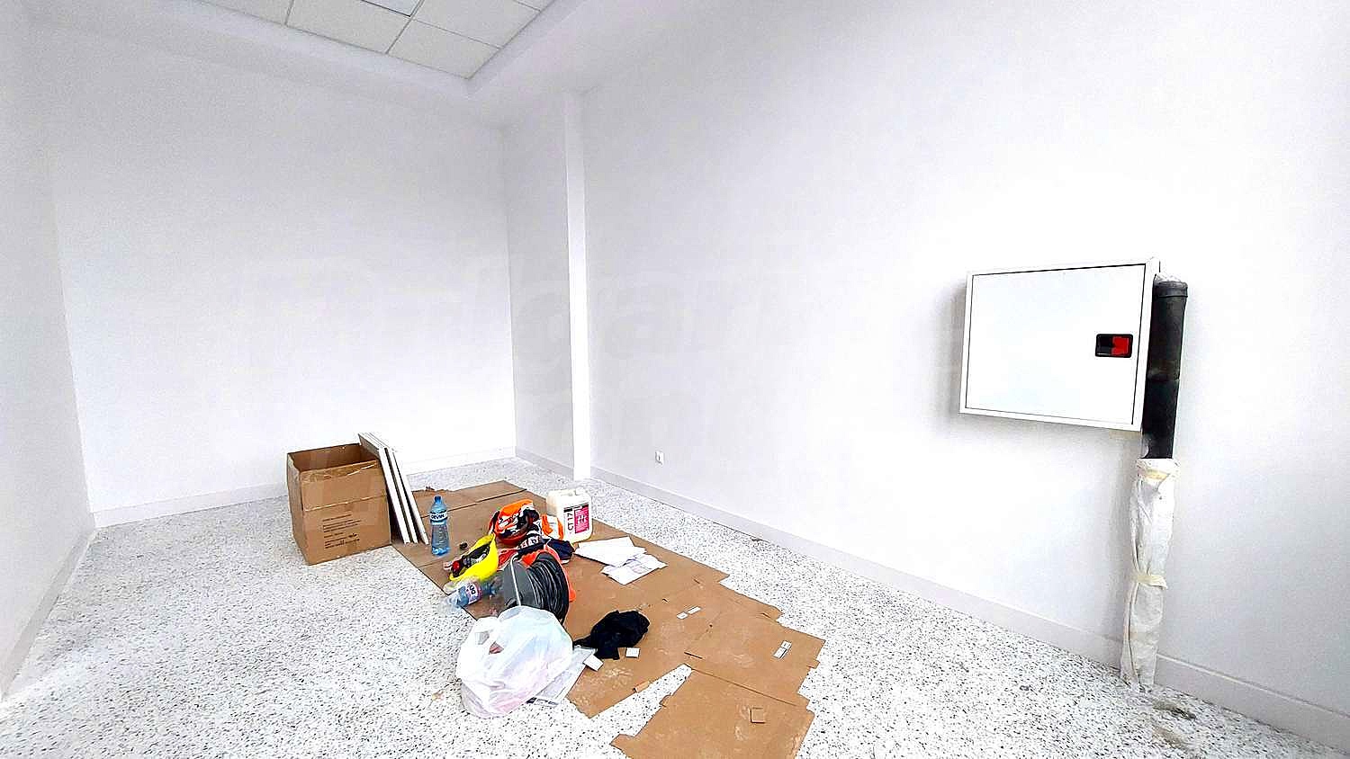Gallery Picture 5