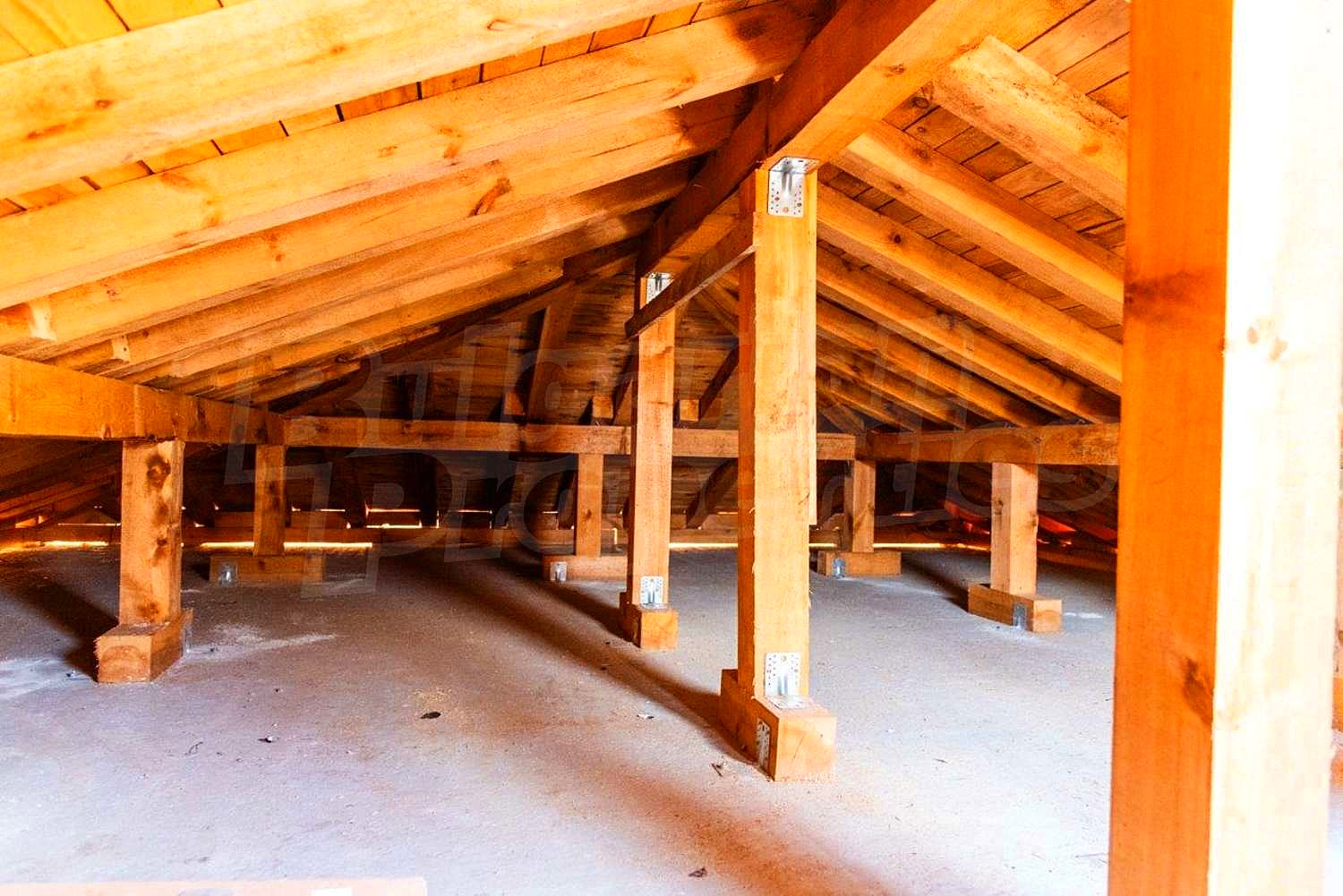 Gallery Picture 16
