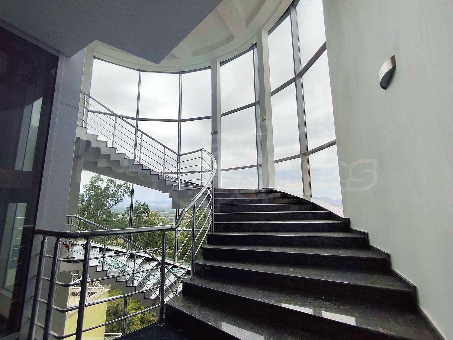 Gallery Picture 28