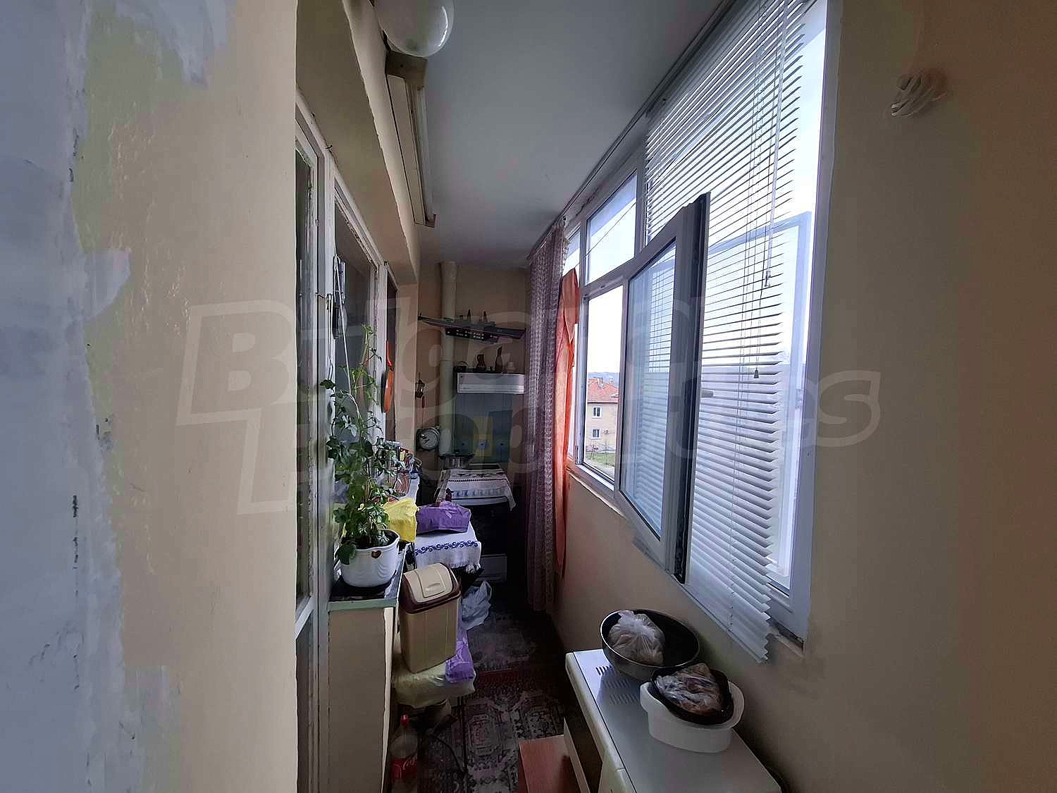 Gallery Picture 14