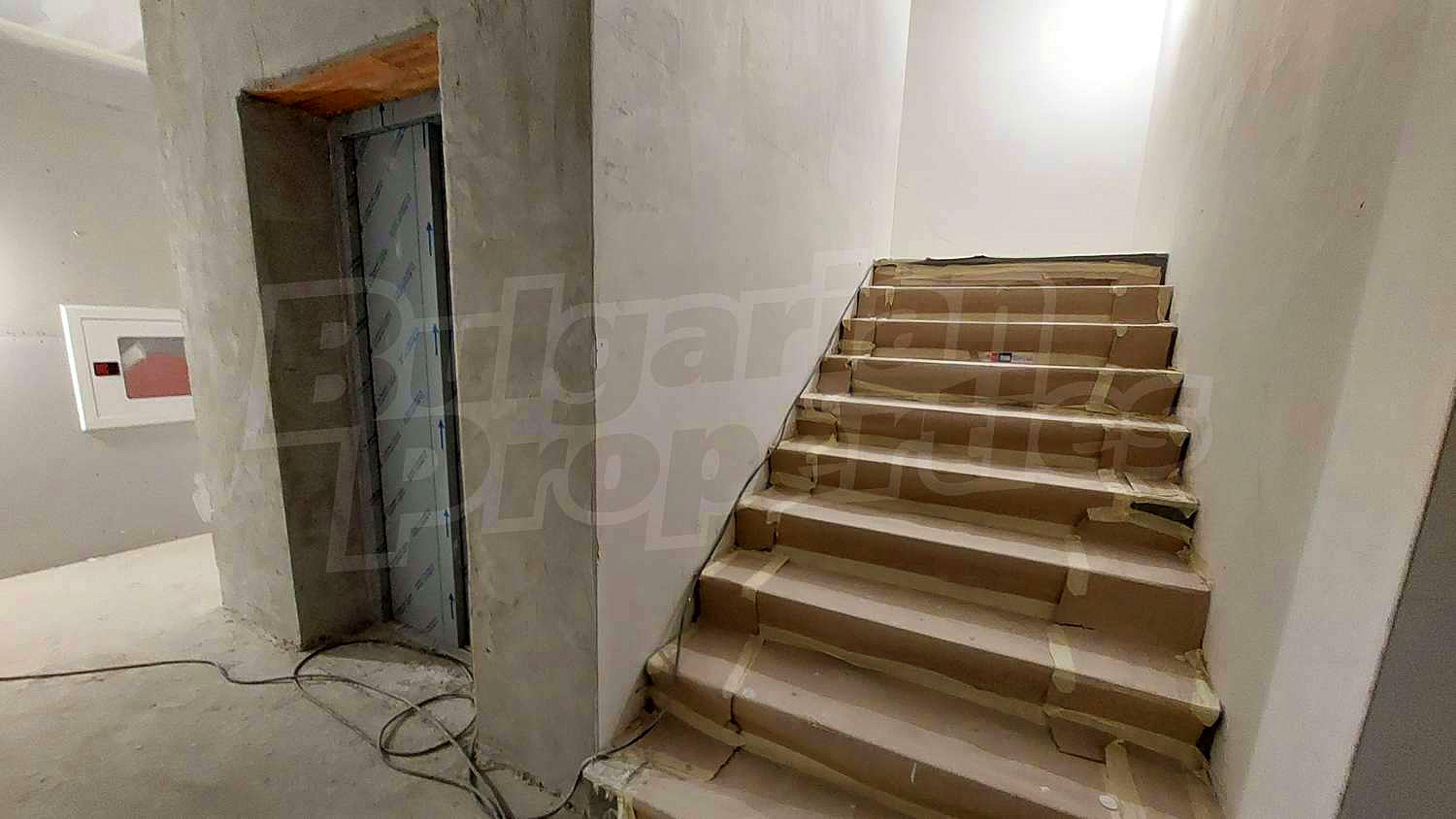 Gallery Picture 36