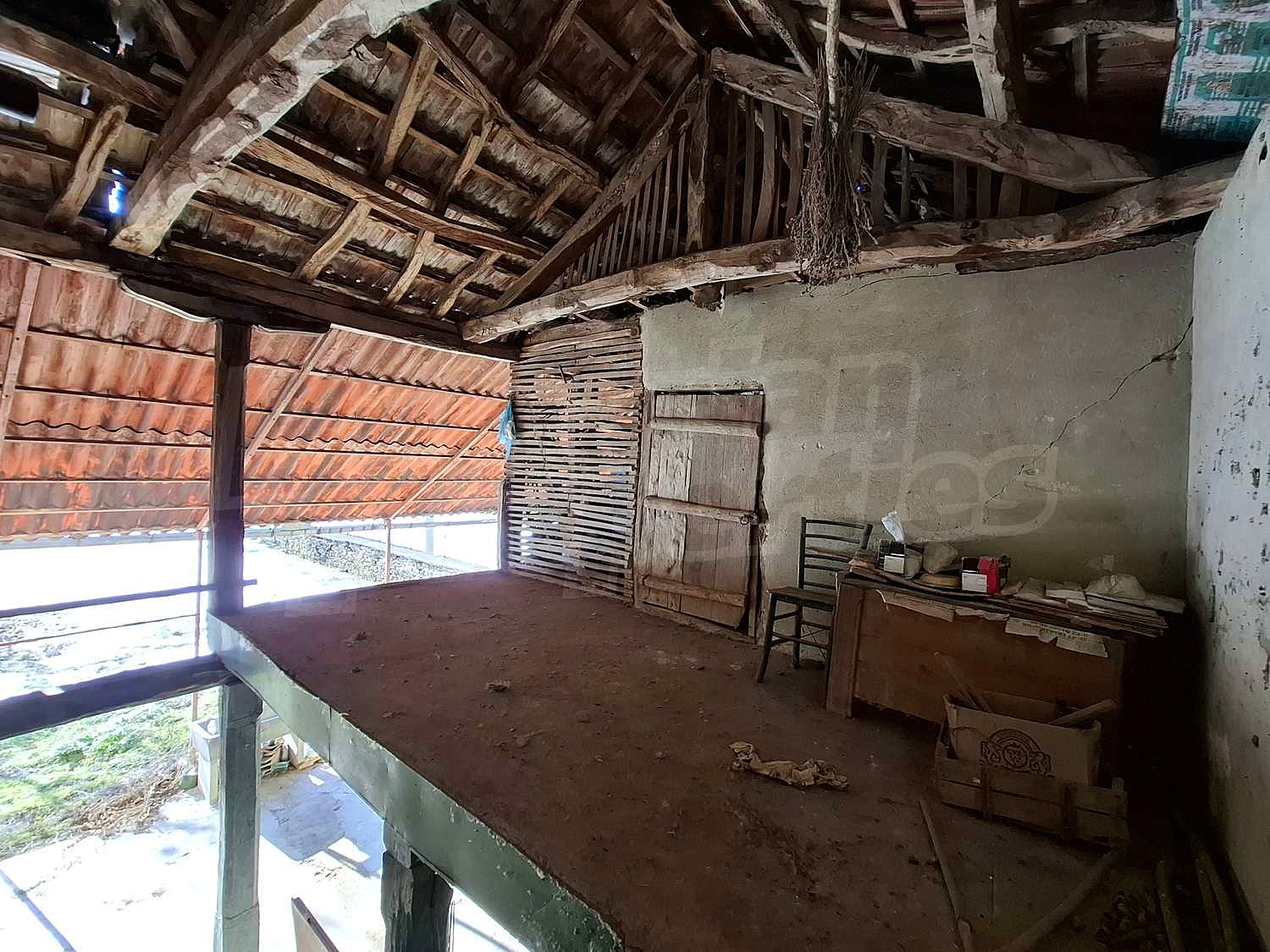 Gallery Picture 19