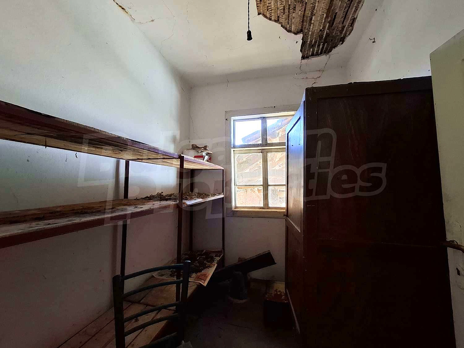 Gallery Picture 27