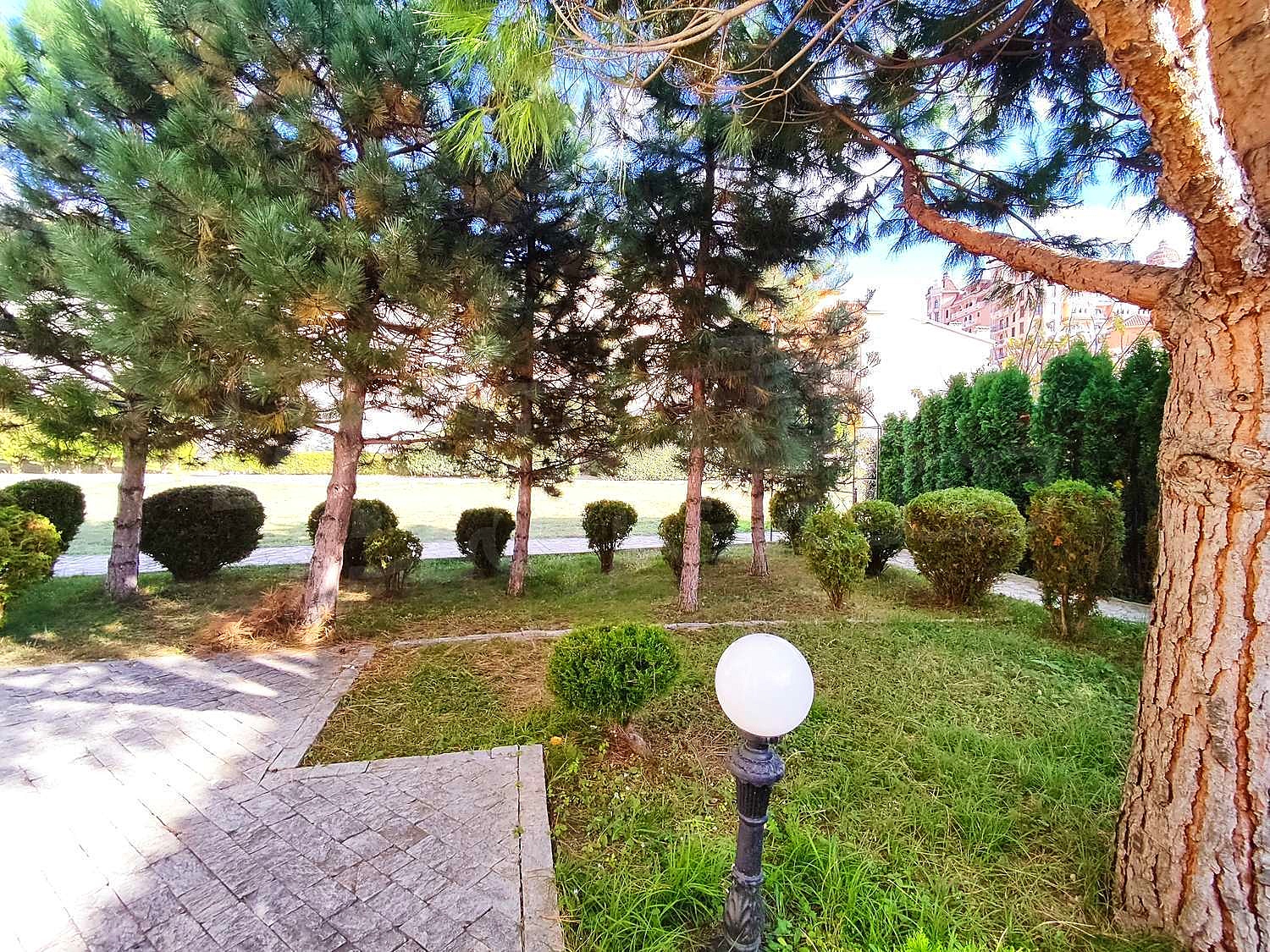Gallery Picture 34