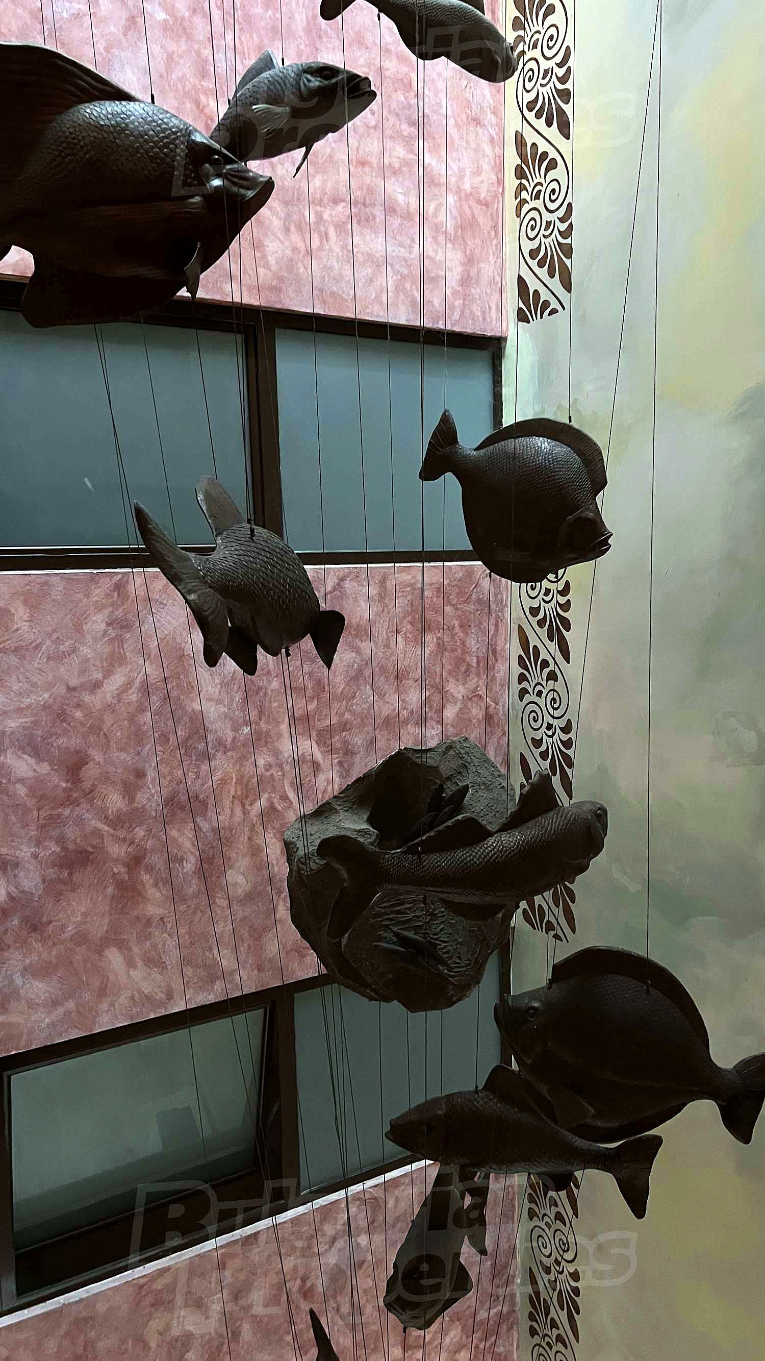 Gallery Picture 18