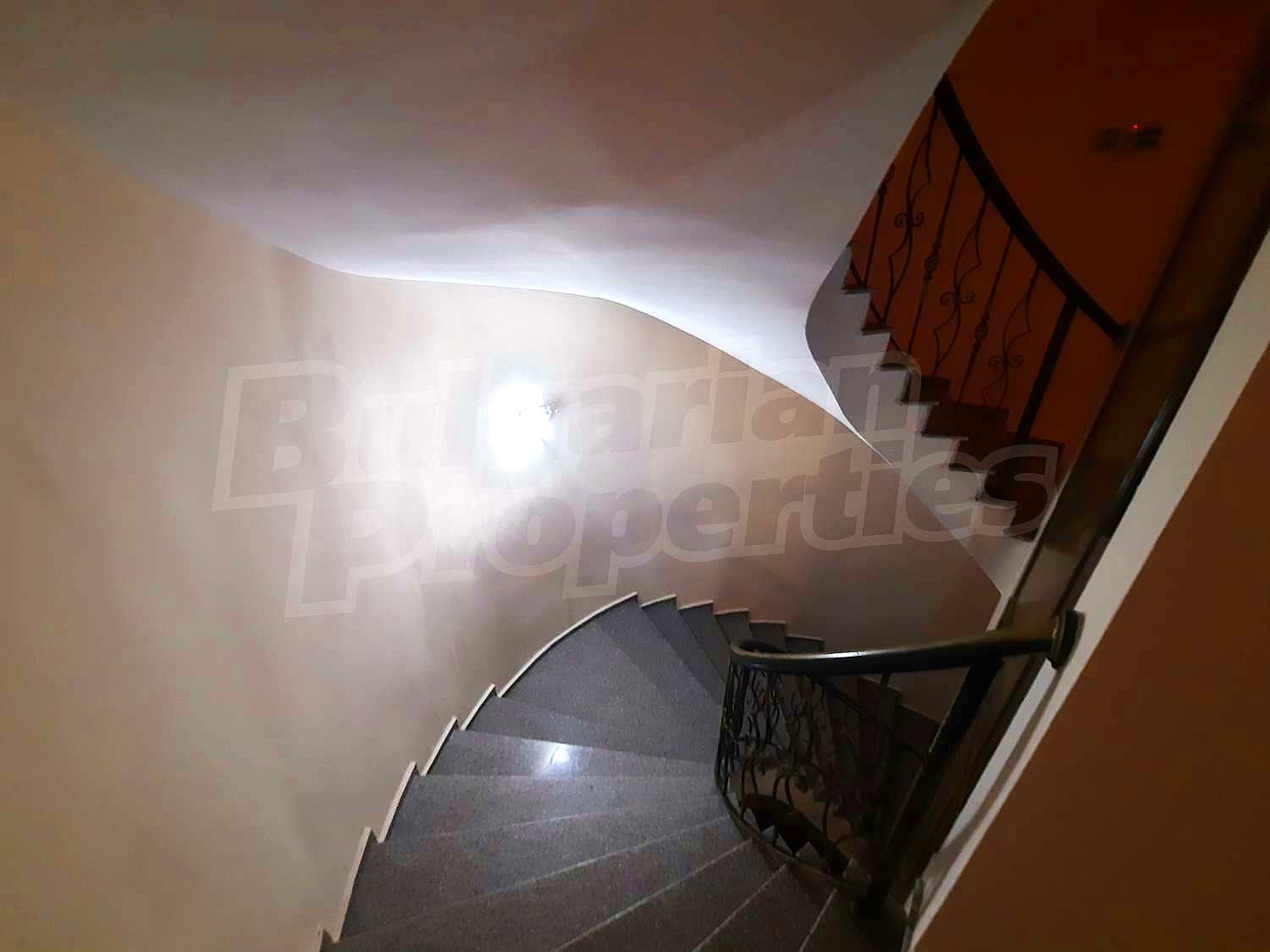 Gallery Picture 49
