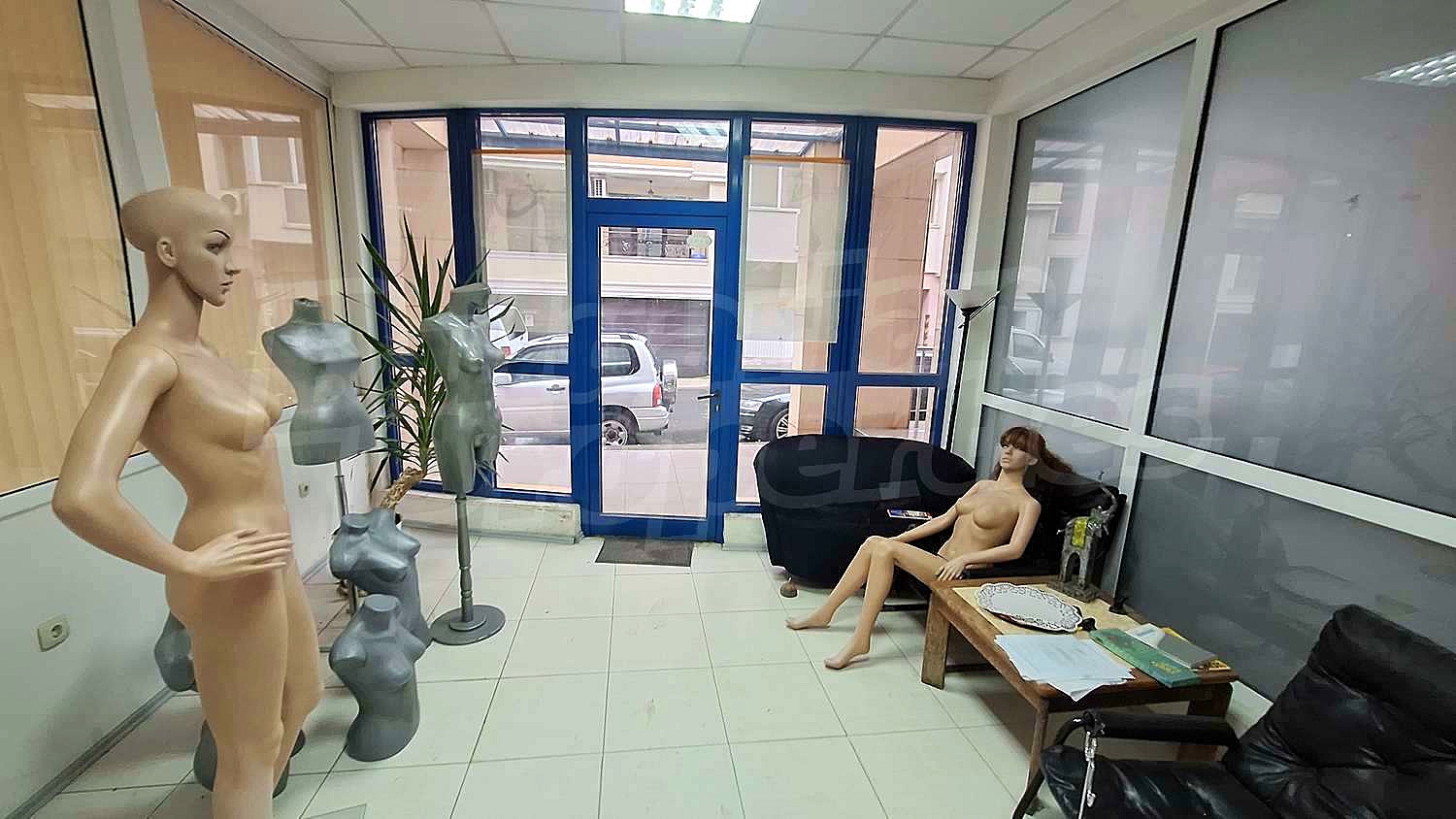 Gallery Picture 5