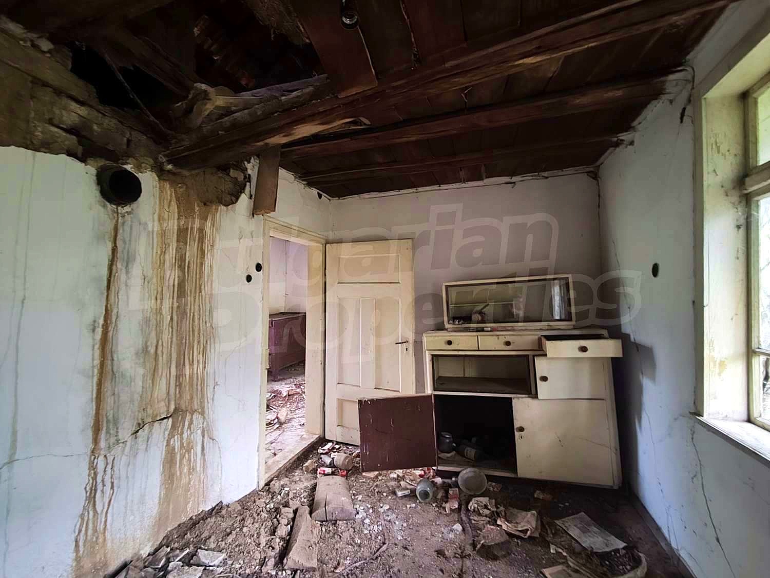 Gallery Picture 10