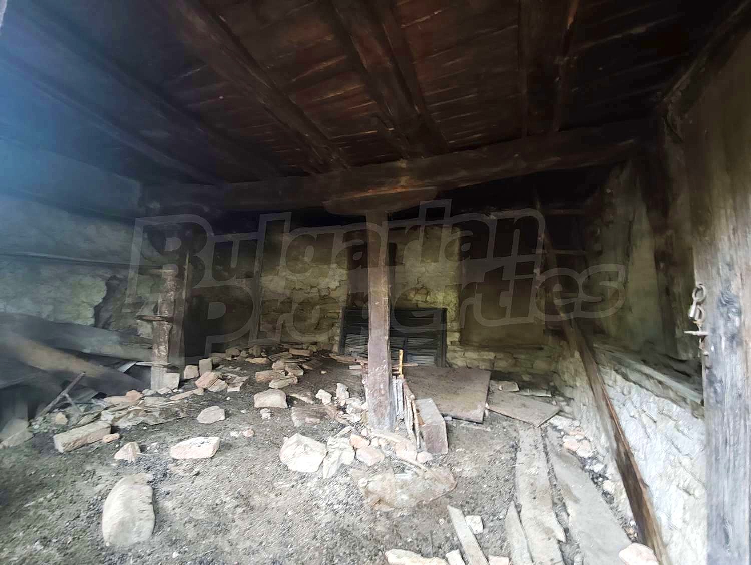 Gallery Picture 12