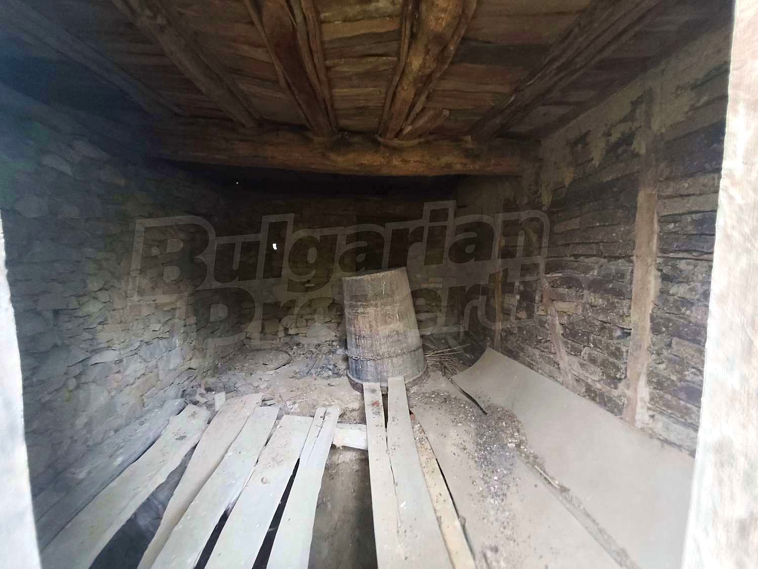 Gallery Picture 14