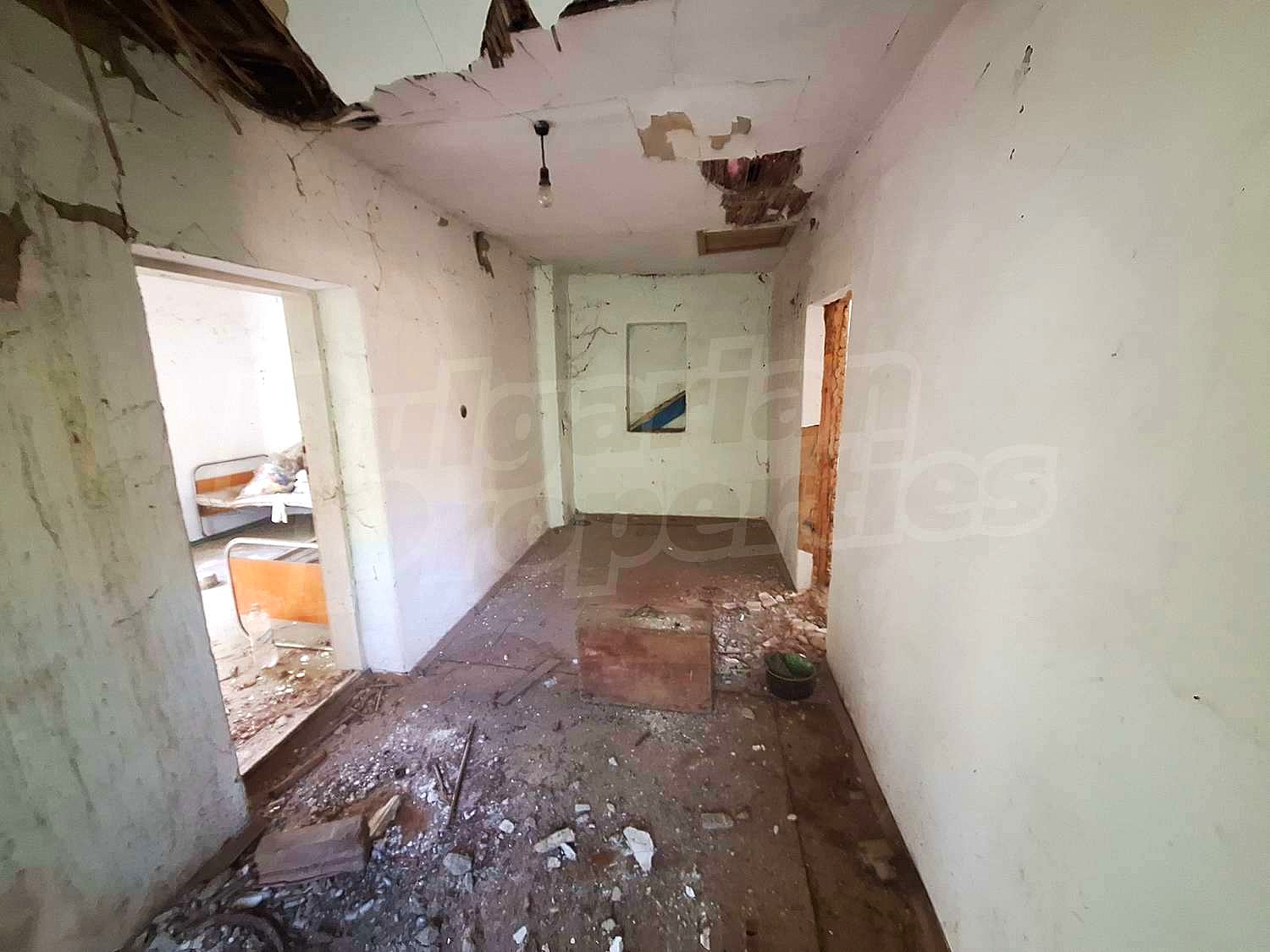 Gallery Picture 9