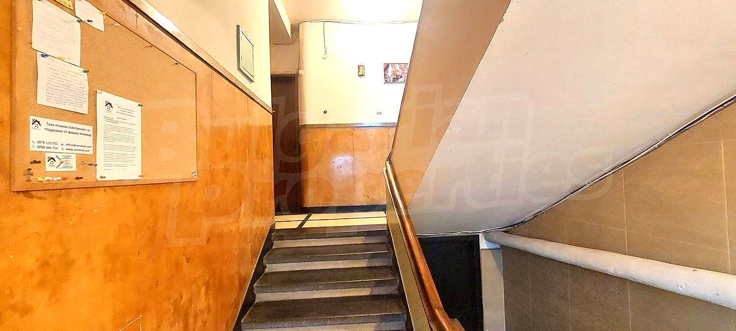 Gallery Picture 18