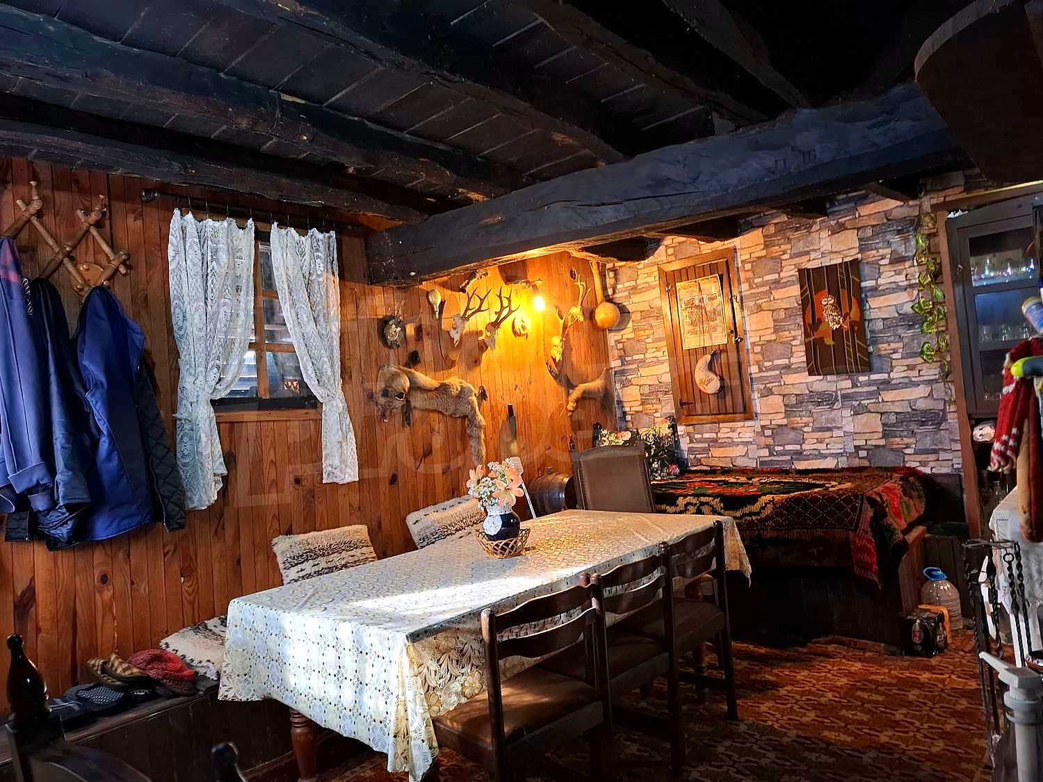 Gallery Picture 12