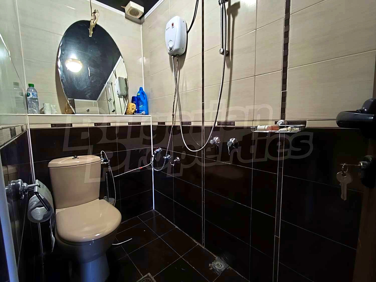 Gallery Picture 37