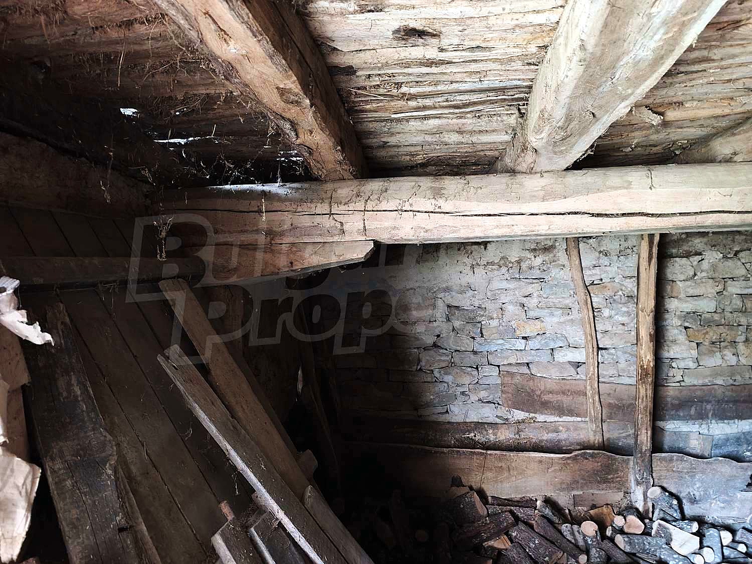 Gallery Picture 45