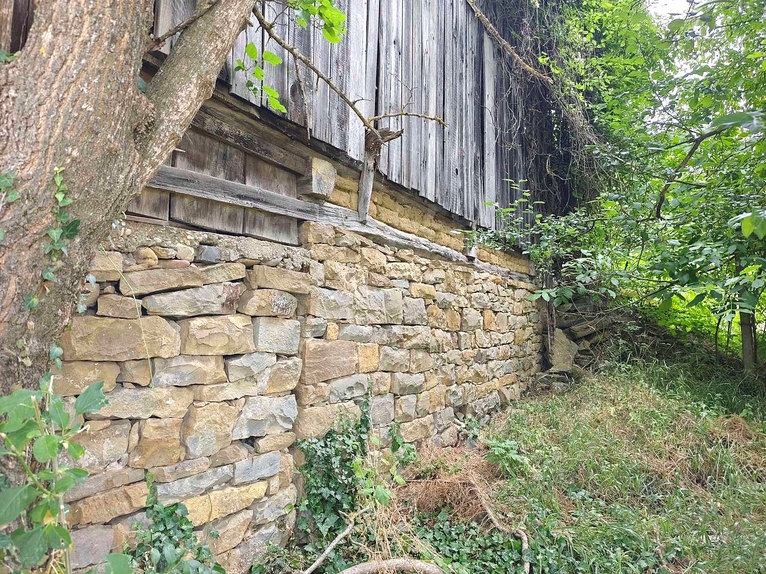 Gallery Picture 47