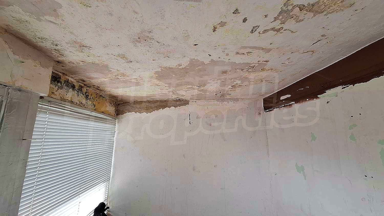 Gallery Picture 38