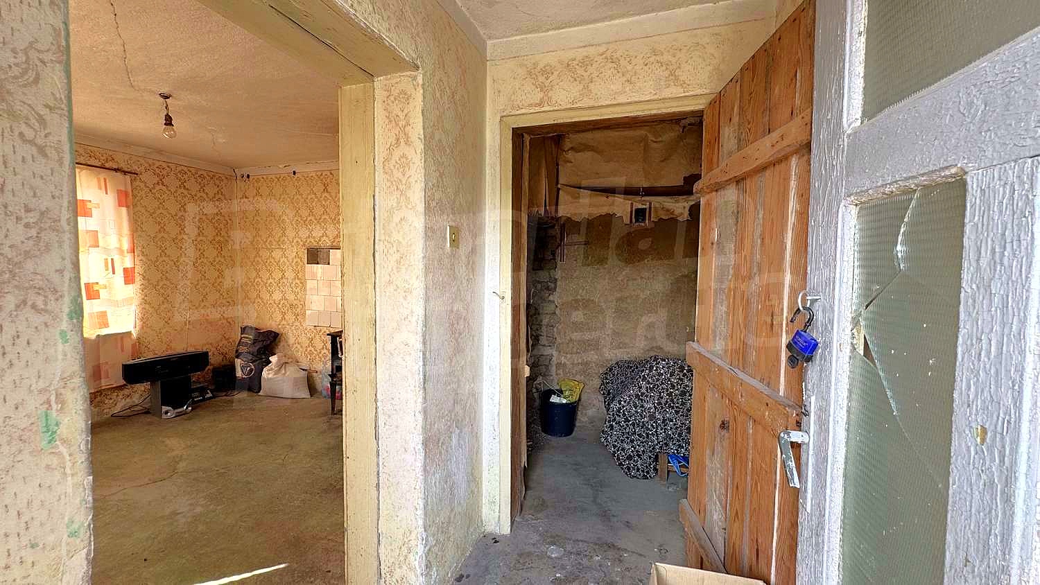 Gallery Picture 53