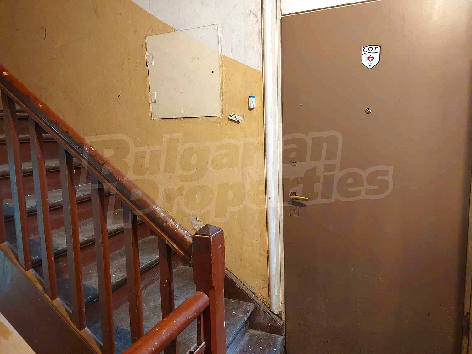 Gallery Picture 23