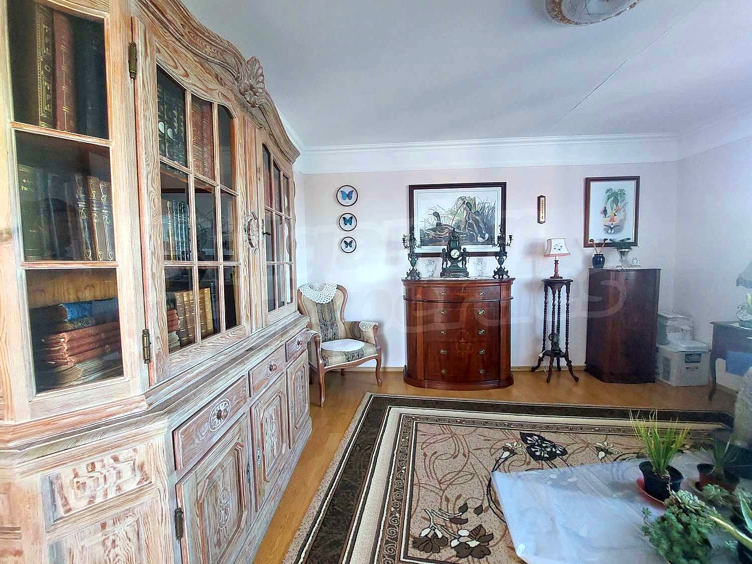 Gallery Picture 24