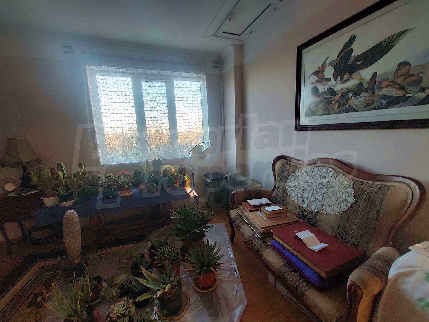 Gallery Picture 28