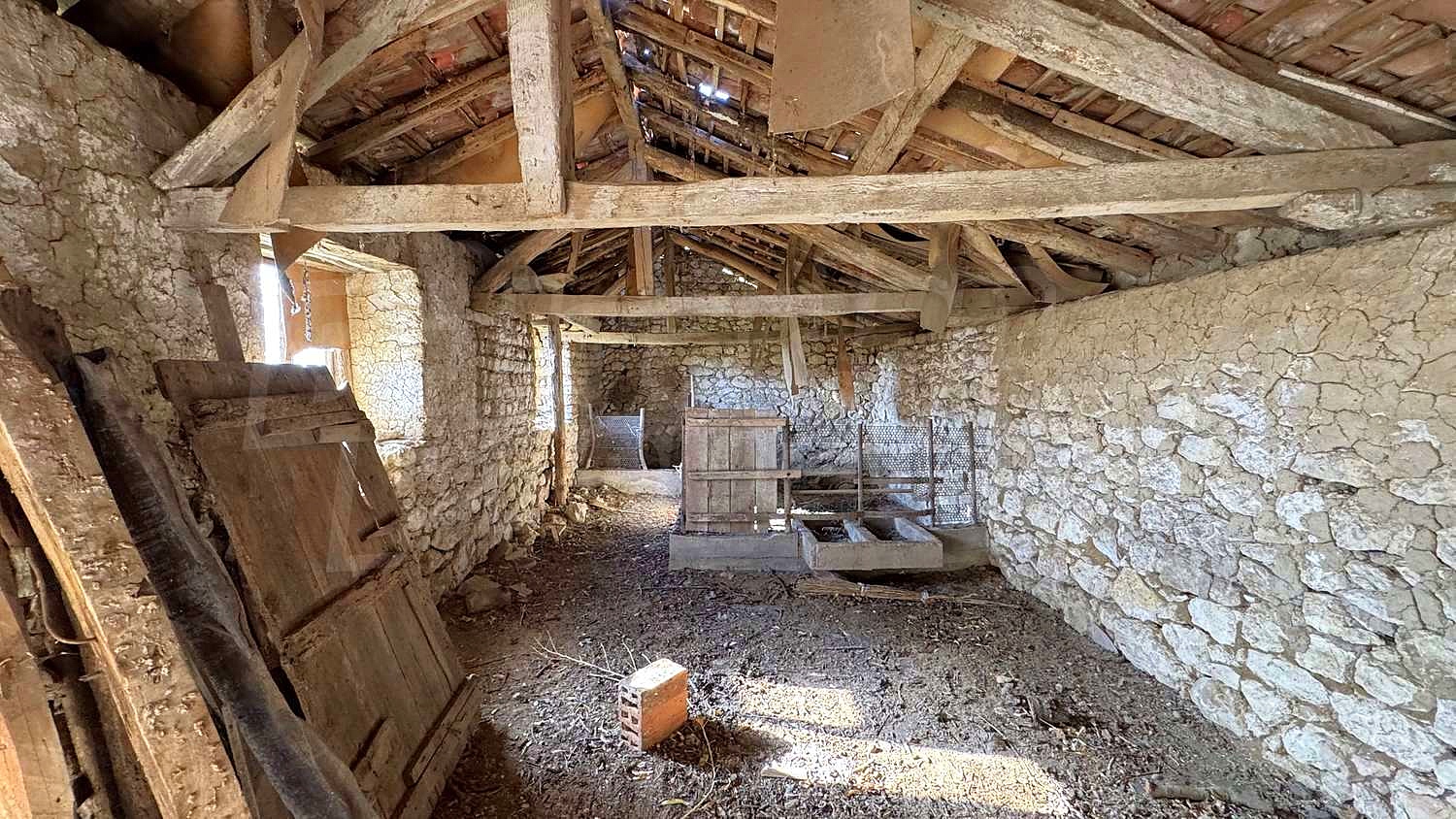 Gallery Picture 44