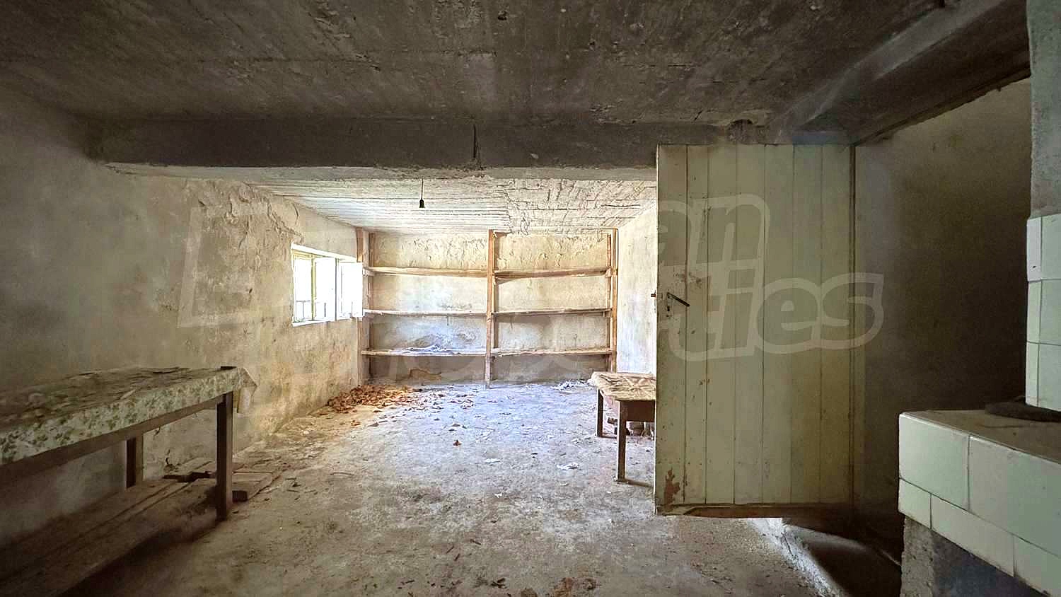 Gallery Picture 29