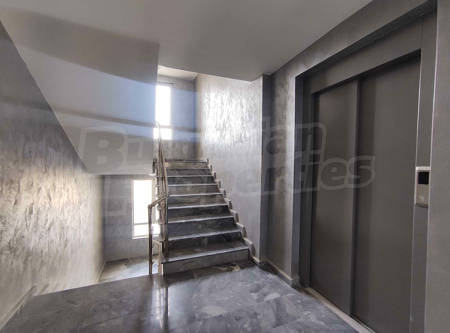 Gallery Picture 16