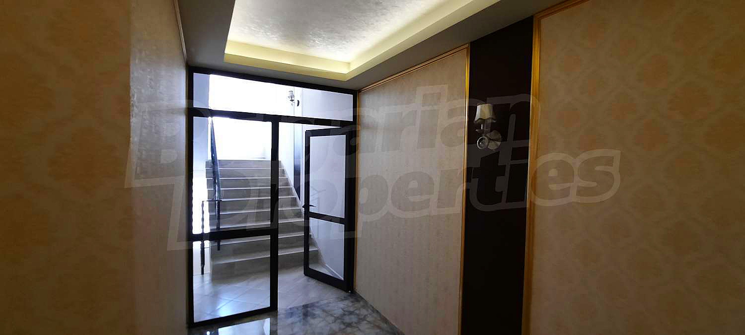 Gallery Picture 16