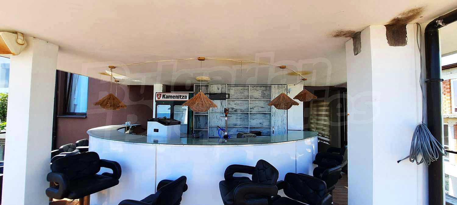 Gallery Picture 17