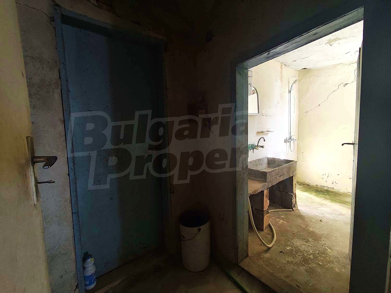 Gallery Picture 17