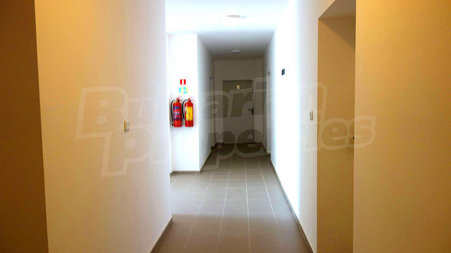Gallery Picture 18