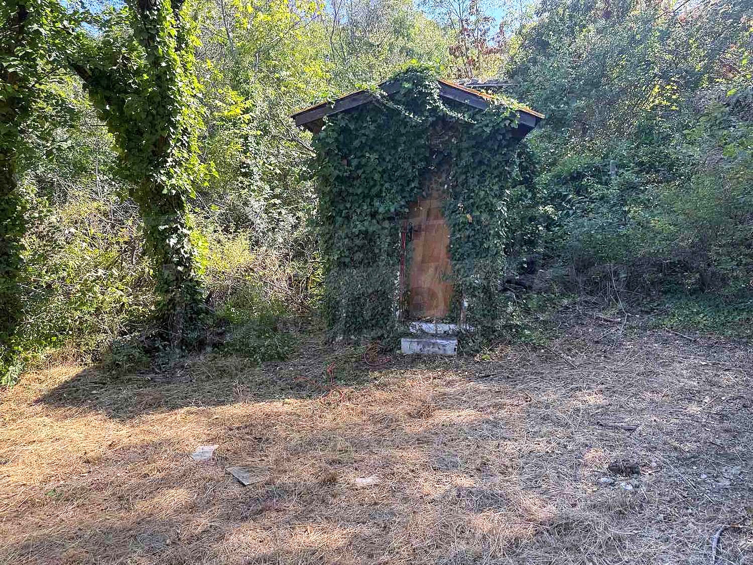 Gallery Picture 18