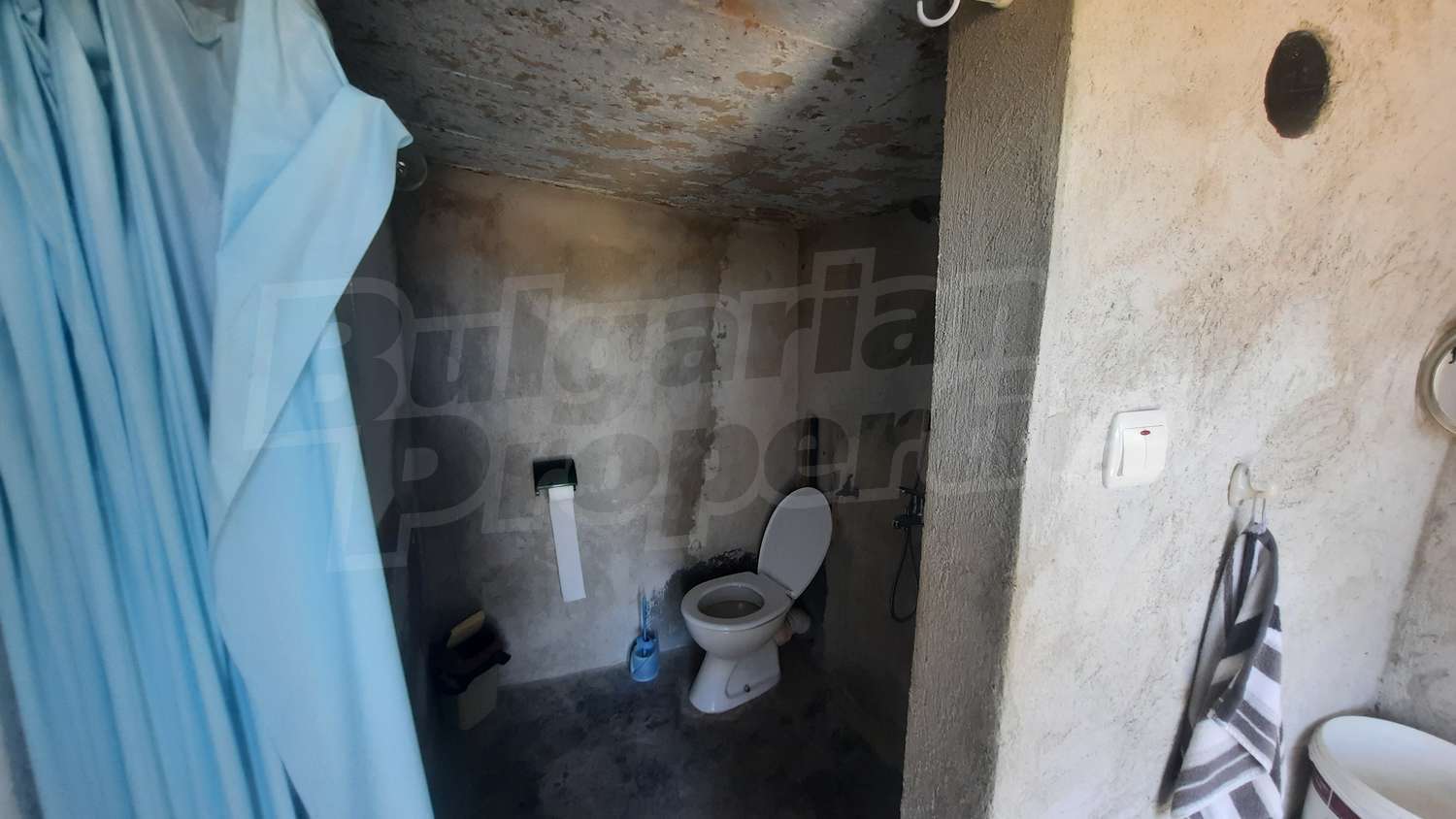 Gallery Picture 21