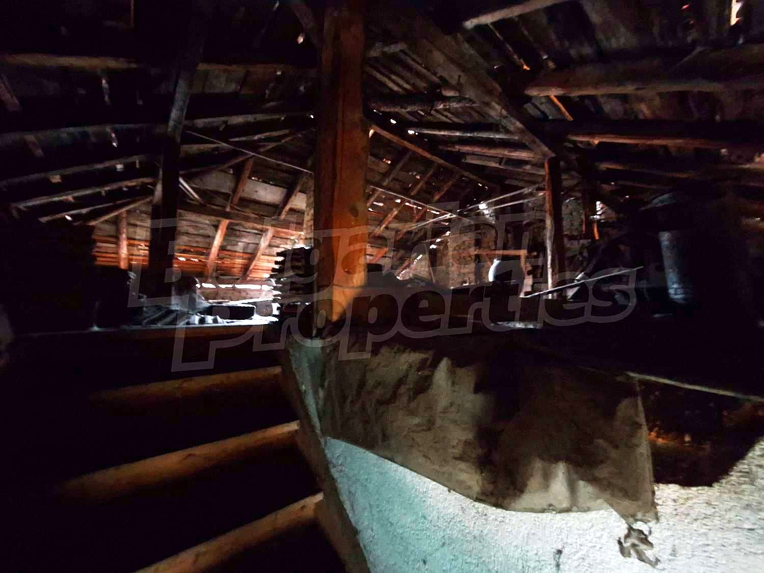 Gallery Picture 42