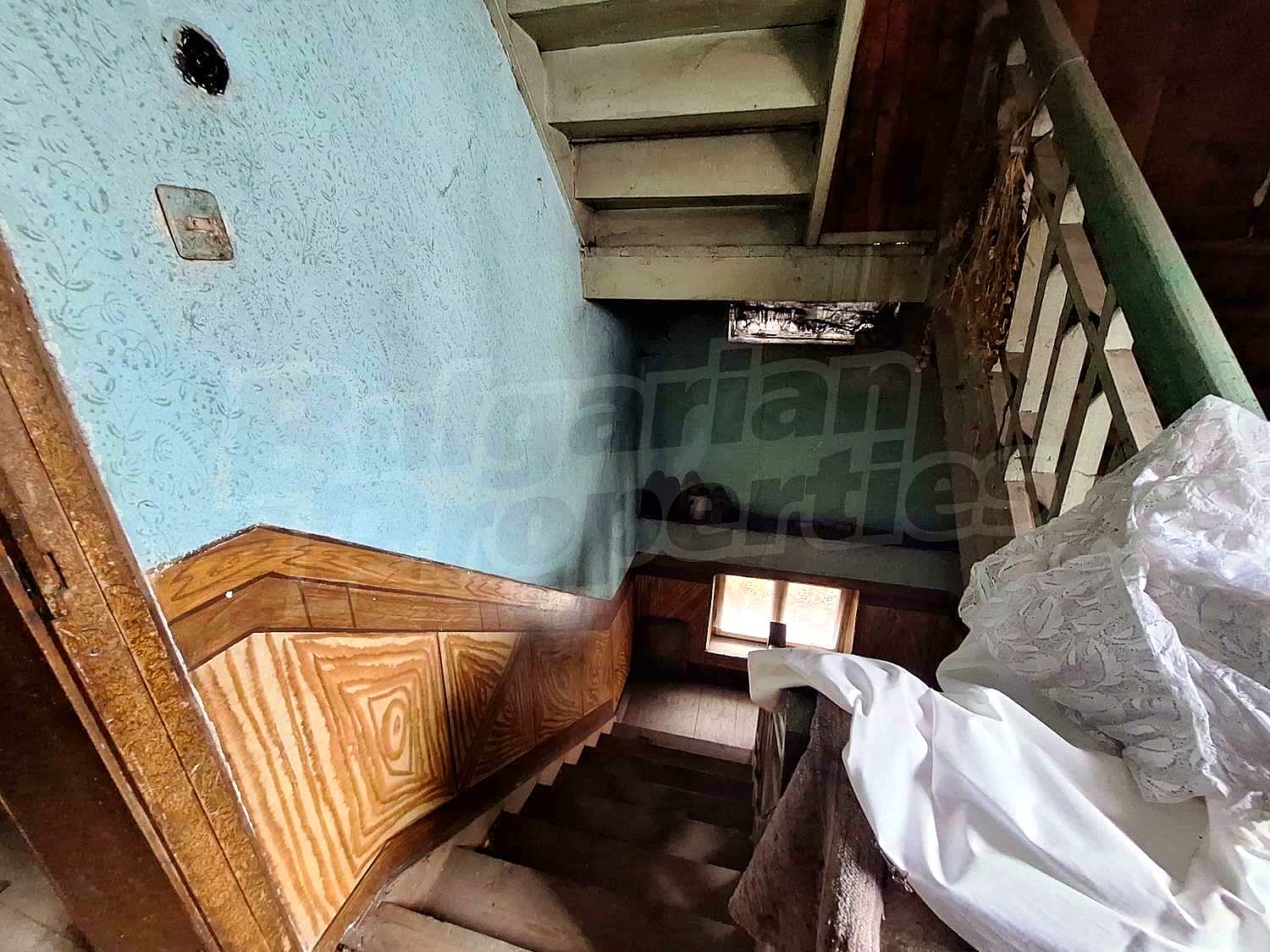 Gallery Picture 29