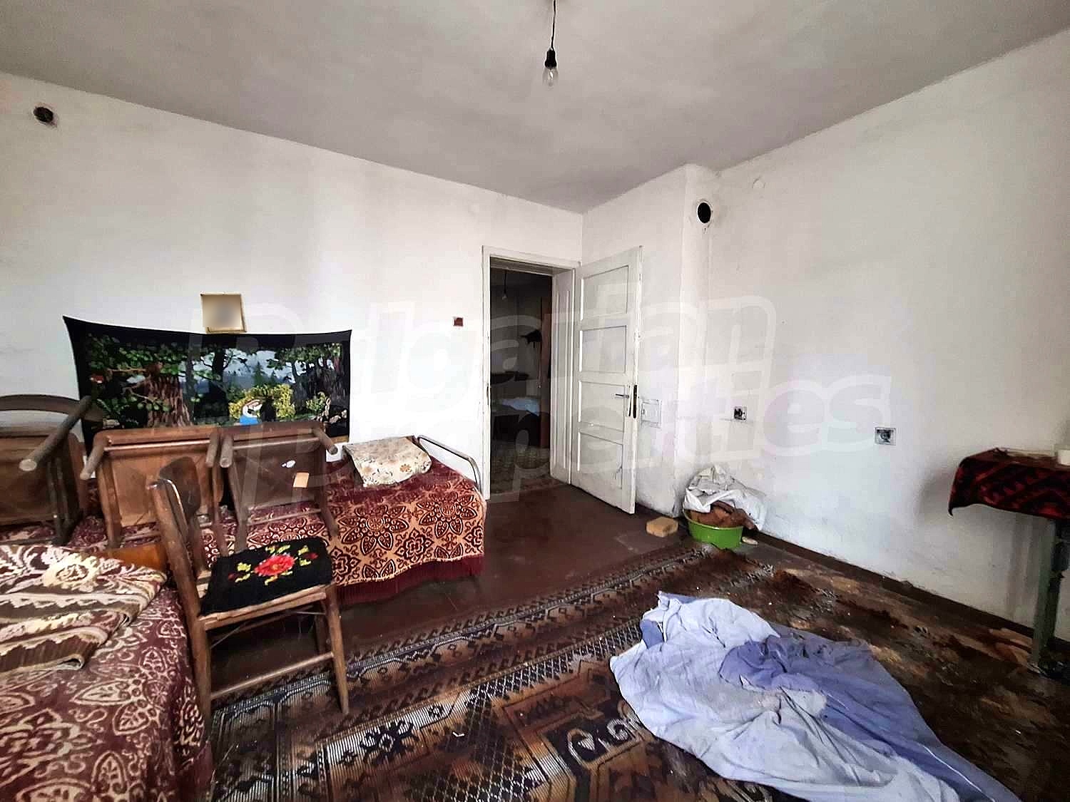 Gallery Picture 25