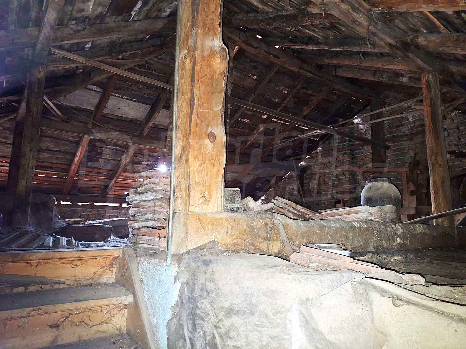 Gallery Picture 41