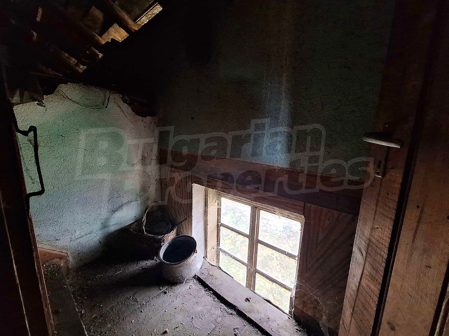 Gallery Picture 43