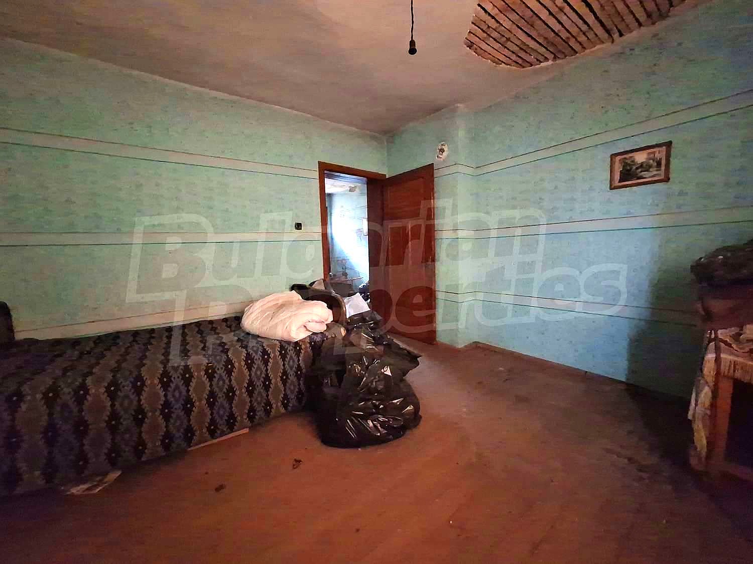 Gallery Picture 45