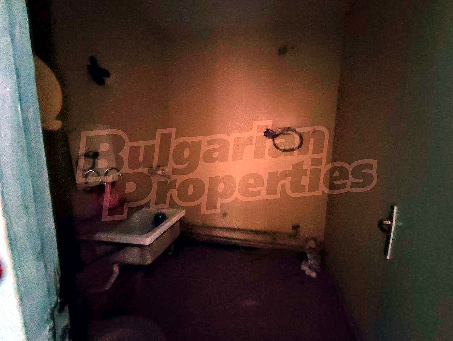Gallery Picture 7
