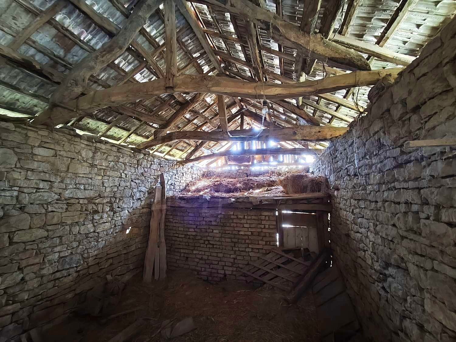 Gallery Picture 38
