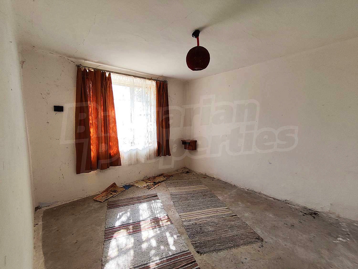 Gallery Picture 19